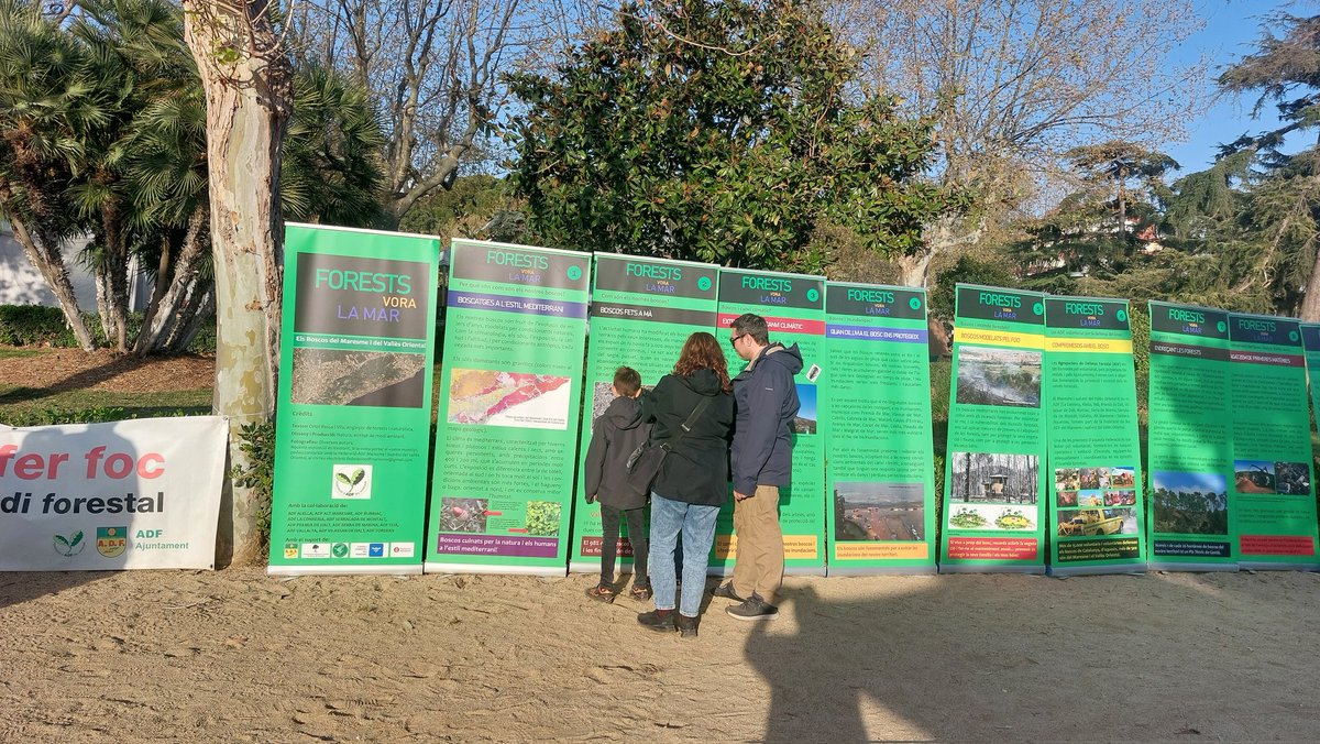 ADF Serra de Marina tweet media