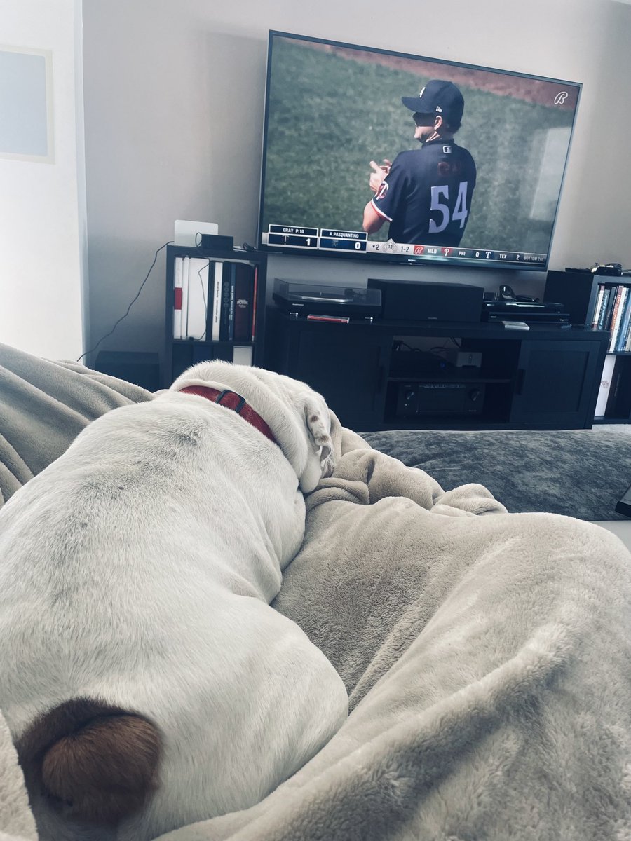 SandraFeistMN's tweet photo. A dog in my lap and baseball on the tv. #ThePerfectSaturday https://t.co/hp5kUlRUl1
