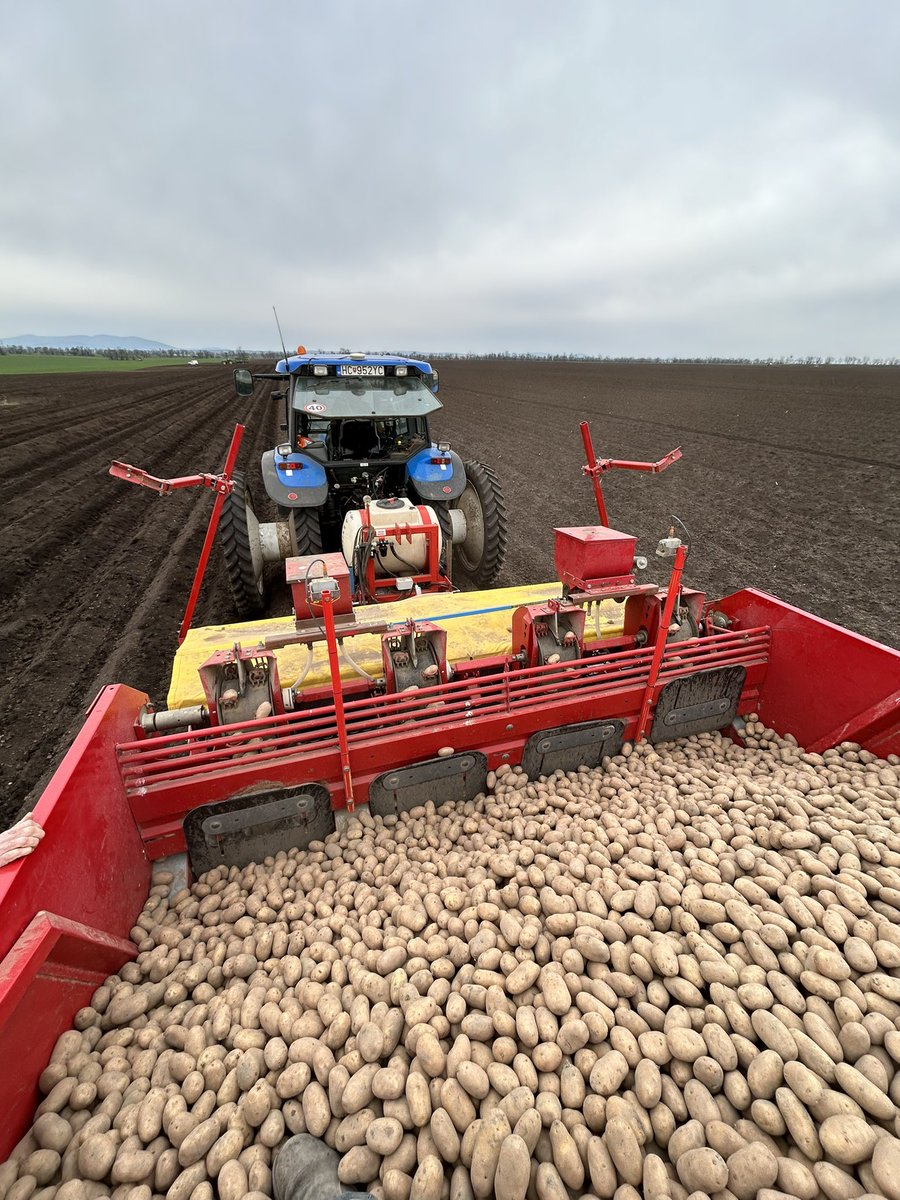Na 3 weken klaar met aardappelen poten. Begonnen met poten in de najaars ruggen, heel erg tevreden over het najaar systeem door meer vocht in de rug en toch eerder bekwaam voor de pootmachine