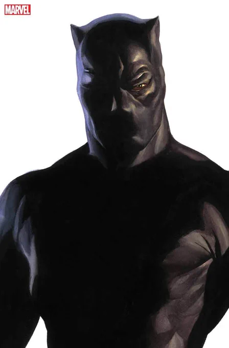 #BlackPanther #WakandaForever #Timeless #MarvelComics 