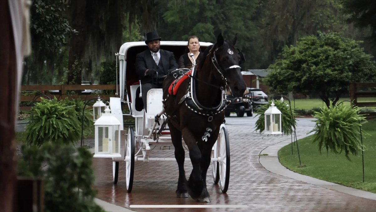 Riding a horse and carriage to walk the aisle.#FloridaWedding #Bride #Groom #FloridaWeddingVenue #WeddingPhotographer #WeddingVideographer #WeddingVideoFlorida #FloridaBeachWedding #FloridaDestinationWedding #WeddingInFlorida #SunshineStateWedding