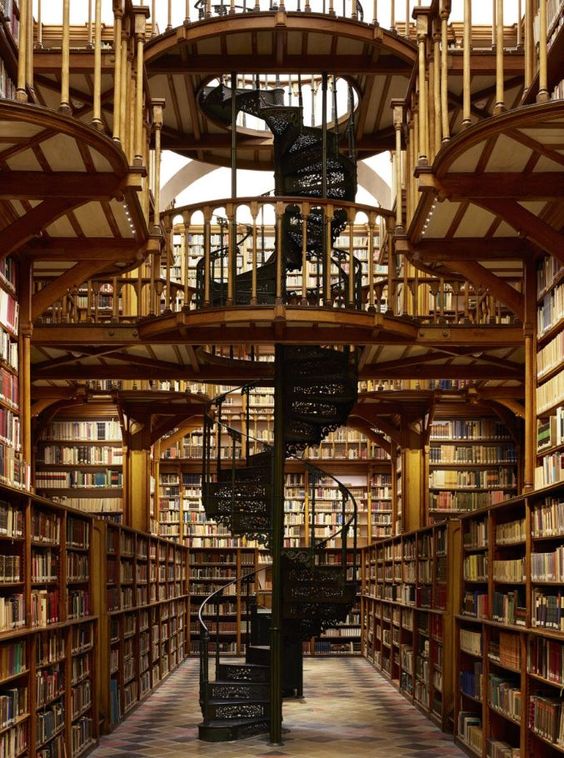 ElliottBlackwe3's tweet photo. Who wants to get lost with me in the library? https://t.co/wDkxECe5sB