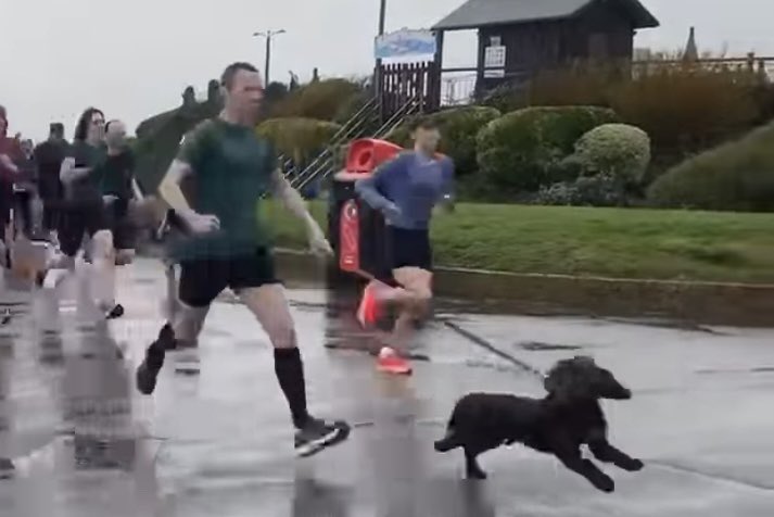 spencercwelch's tweet image. At #Littlehamptonpromparkrun today with Hugo, very wet, but lovely sea views, plenty of surfers out there and fast course @Bcay_Striders @EssexAArunning