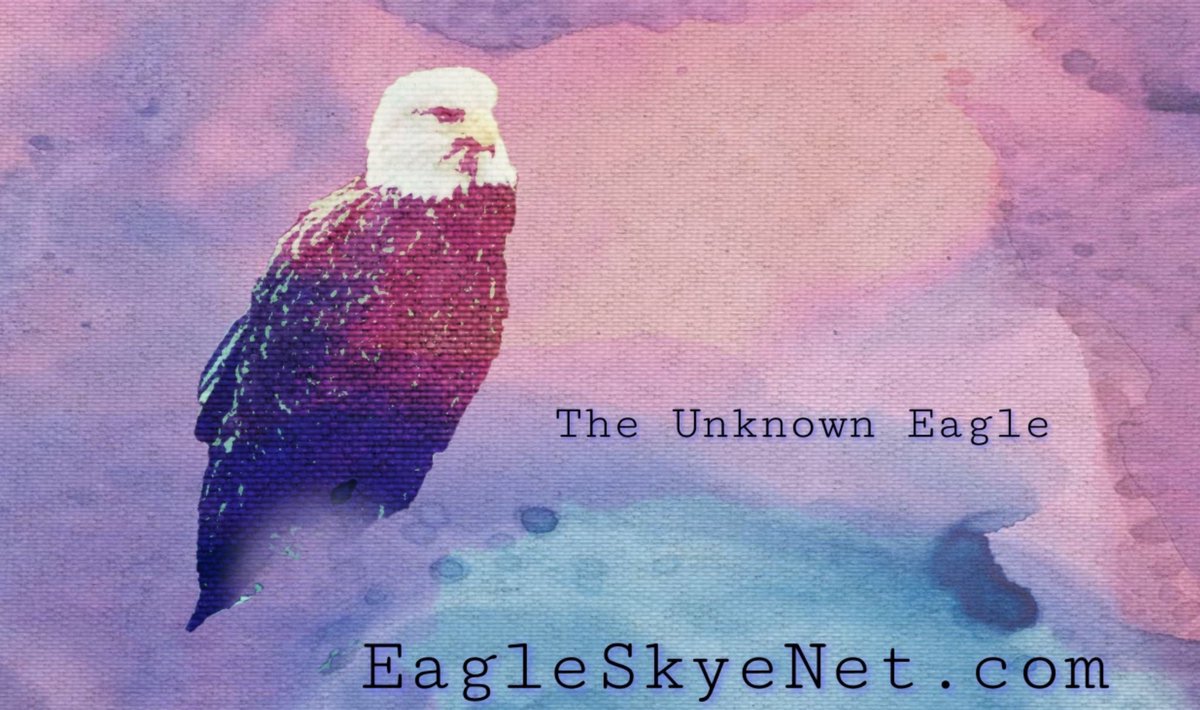 EagleSkyeNet's tweet photo. The teachings of one animal or another only come to us by carefully observing the animals in their natural environment .
We happen to live in the most significant eagle habitat in the Pacific flyway and so observe things not seen in other places https://t.co/yForvBYhX8