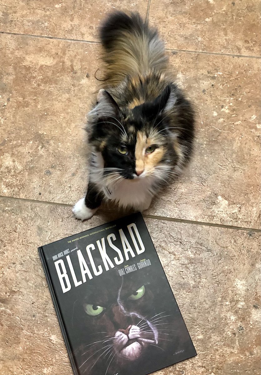 HarvLovesComics's tweet photo. Great art and a fun story. Harv recommends Blacksad volume 1 #caturday #CatsOfTwitter #comicbooks #graphicnovel https://t.co/4gmxa6fOTy