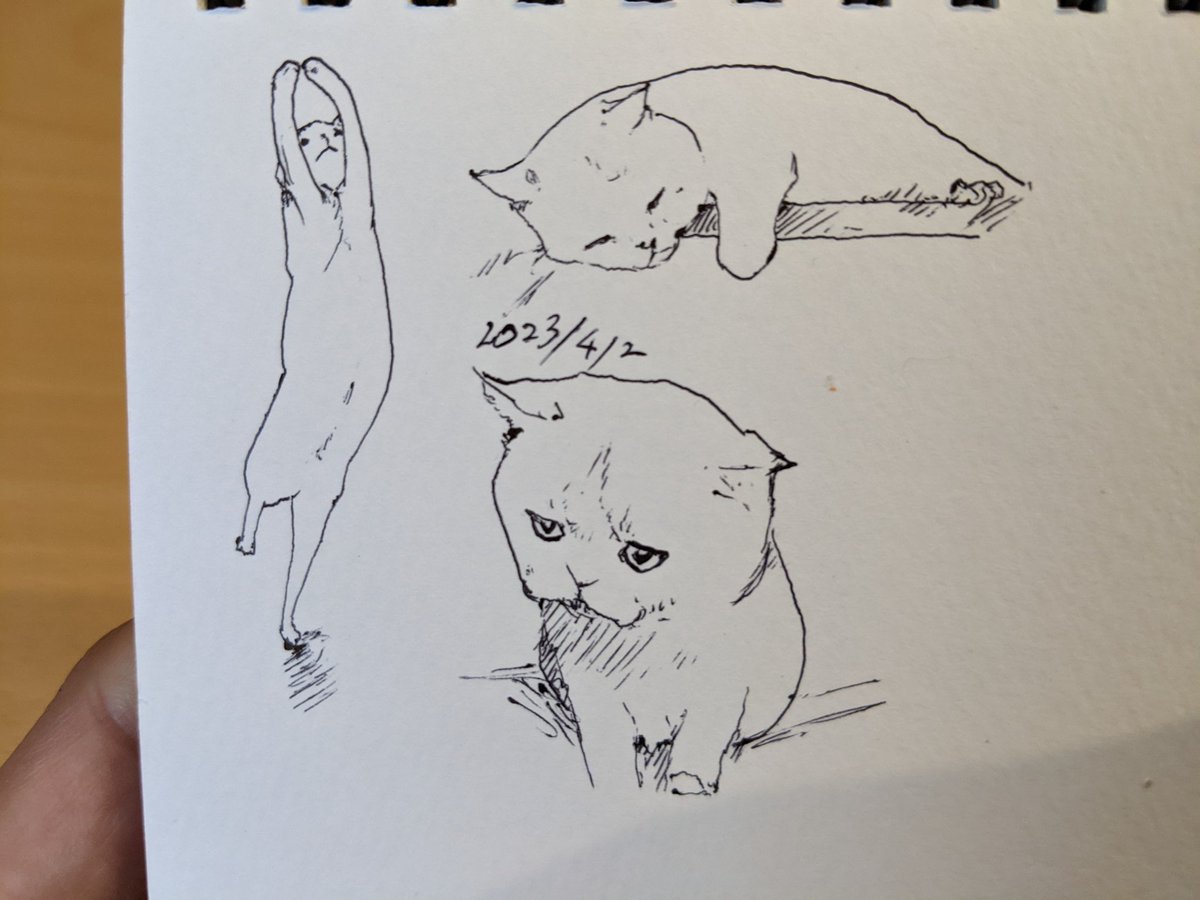 💃 カキカキ。 