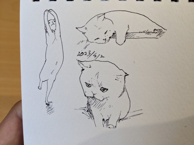 💃 カキカキ。 