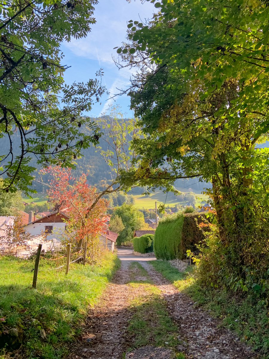 sucreroses_'s tweet image. Sometimes life takes you down unexpected roads, bukanlah mimpi saya untuk bisa hidup di pedesaan Eropa dan kerja di sebuah toko roti di pegunungan. Banyak yg bilang “lulusan S1, kerjanya cuman itu?” Now i don’t care about it anymore, this is the life i choose to live in :)