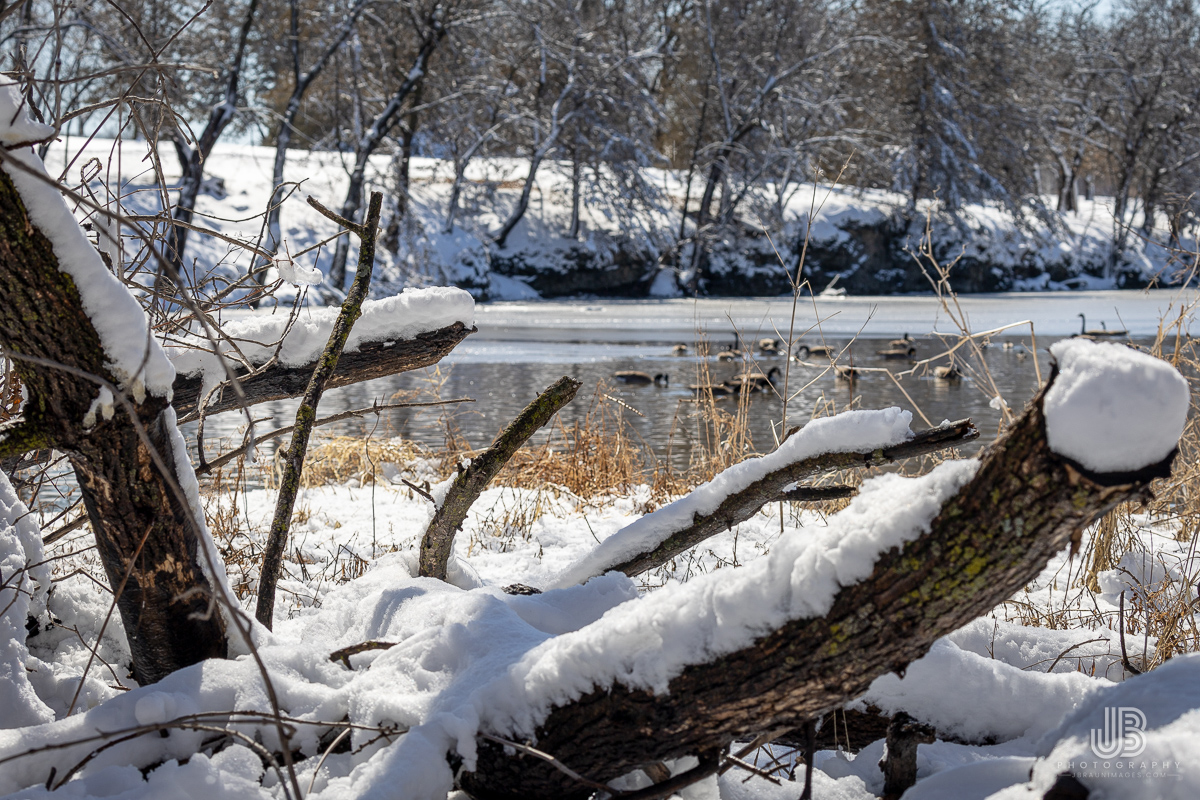 JustinBraun's tweet photo. A fresh coating of (April) snow for the Twin Cities. With last night's snowfall, we haven't hit 90 inches, but we are around #3 in the record books for the most snowfall in a season for MSP.
#snowthanks #mnwx https://t.co/uZnWWYuT5c