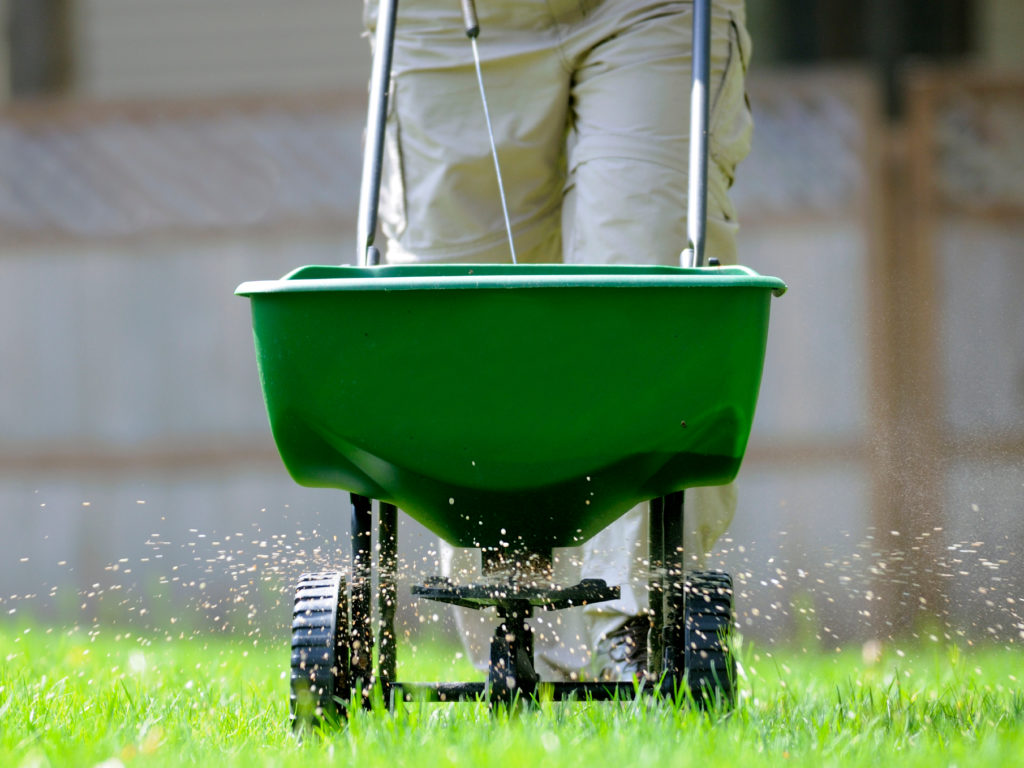 What You Can Do In the Spring To Have a Full, Lush Lawn This Summer…
VIEW TIPS... greenandgrowlawncare.com/what-you-can-d…
#weedcontrol #lawnfertilizer #fertilizelawn #mowing #lawnmowing #aeration #seeding #powerseeding #overseeding #richmond #lexington #kentucky #centralkentucky