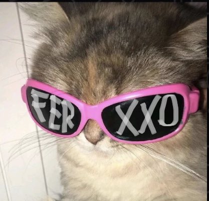 @SamAvils2 Sisas https://t.co/taS0w2CwgB<a class="tags" target="_blank" title="On Twitter" href="/?out=eyJ0eXAiOiJKV1QiLCJhbGciOiJIUzUxMiJ9.eyJpYXQiOjE3MjY4MTE1OTIsImlzcyI6InR3cG9ybnN0YXJzLmNvbSIsIm5iZiI6MTcyNjgxMTU5MiwiZXhwIjoxNzU4MzQ3NTkyLCJyZWRpcmVjdF91cmwiOiJodHRwczovL3R3aXR0ZXIuY29tL1NhbUF2aWxzMiJ9.R9f1sV7yyxl8HOb2H3DdRqu-dl8i7DmtIxEhyfp2iOGy3Goj3Mu3JpuBtjgrYDmrl-wcd_kuFkmrxQU4YCORlg">@SamAvils2</a>