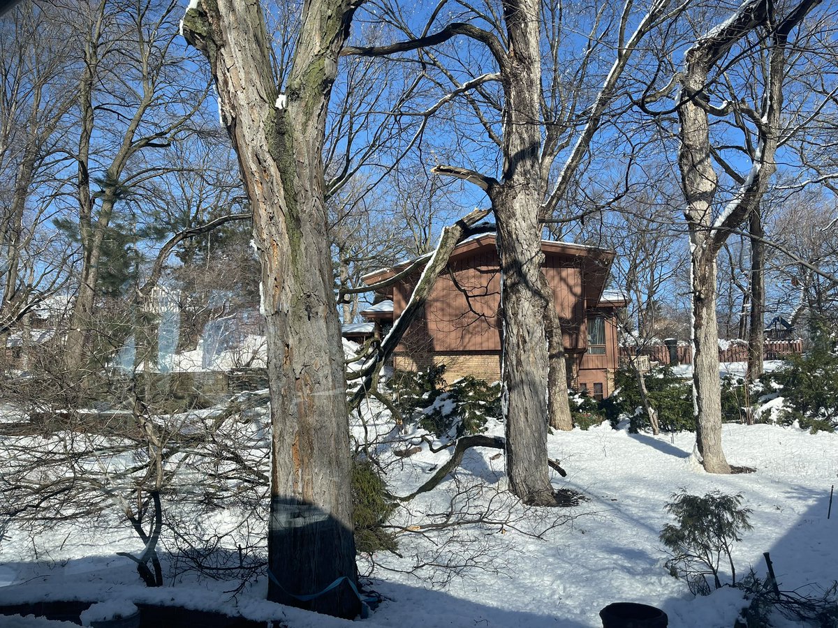 Joe Peters tweet media