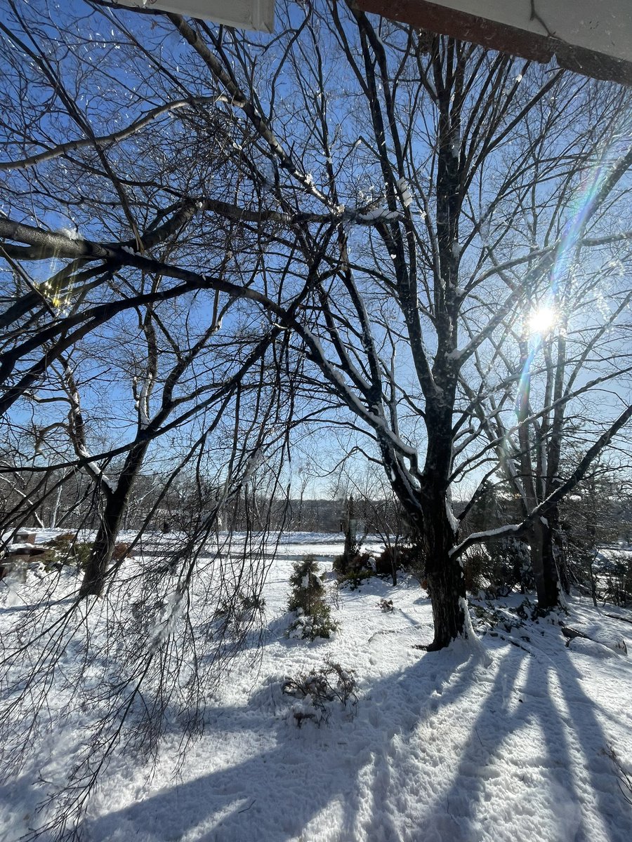 Joe Peters tweet media