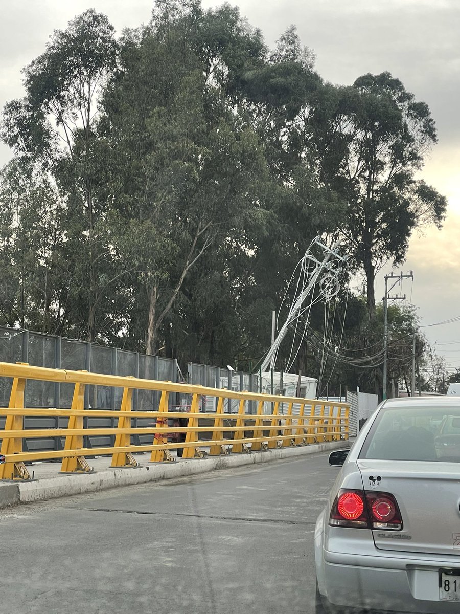 Pau Paucic tweet media