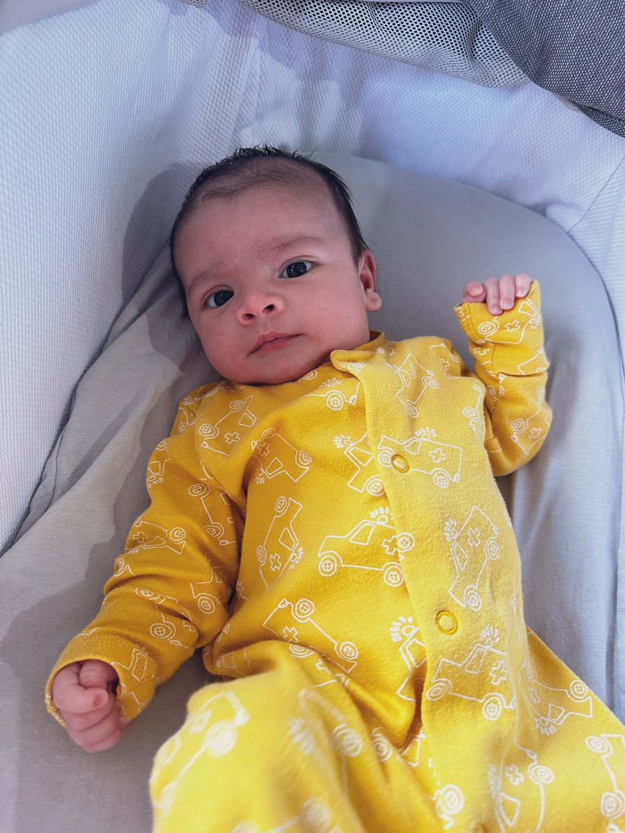 NataliaAlcocer's tweet photo. Mi pollito🐣 https://t.co/TeUNDfEh3A