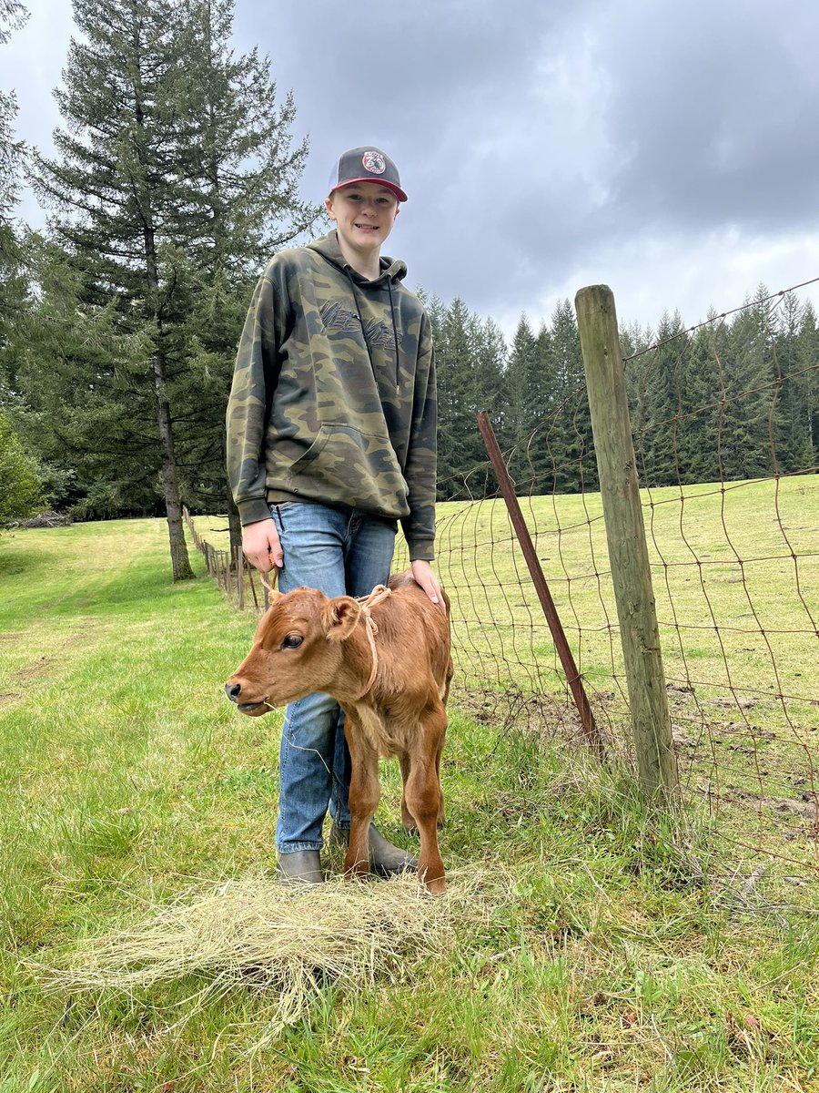 BeccaJonesTeach's tweet image. So this happened… the neighbor dropped us off a sweet little baby.  Guess I’m bottle feeding.  😂 #FarmLife #FarmRaised #bottlebaby #Calf #surprise