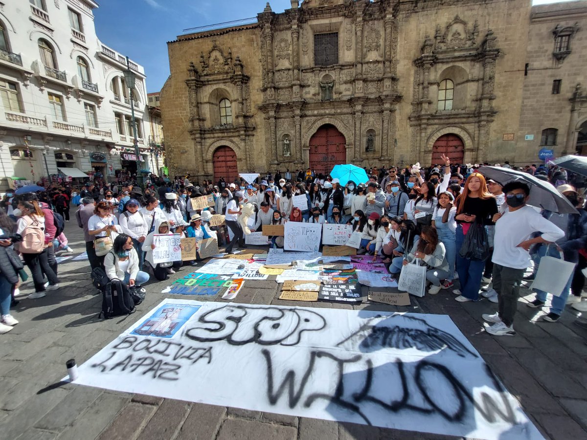 OsmarCespedesR's tweet image. La Paz-Bolivia #StopWillow #StopWillowProject