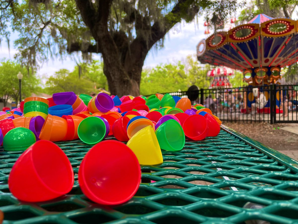 New Orleans City Park tweet media