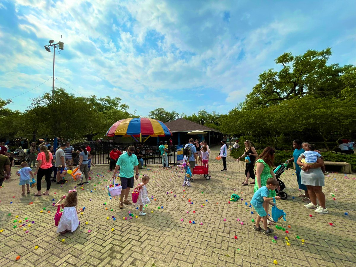 New Orleans City Park tweet media