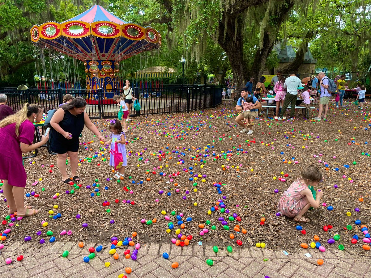 New Orleans City Park tweet media