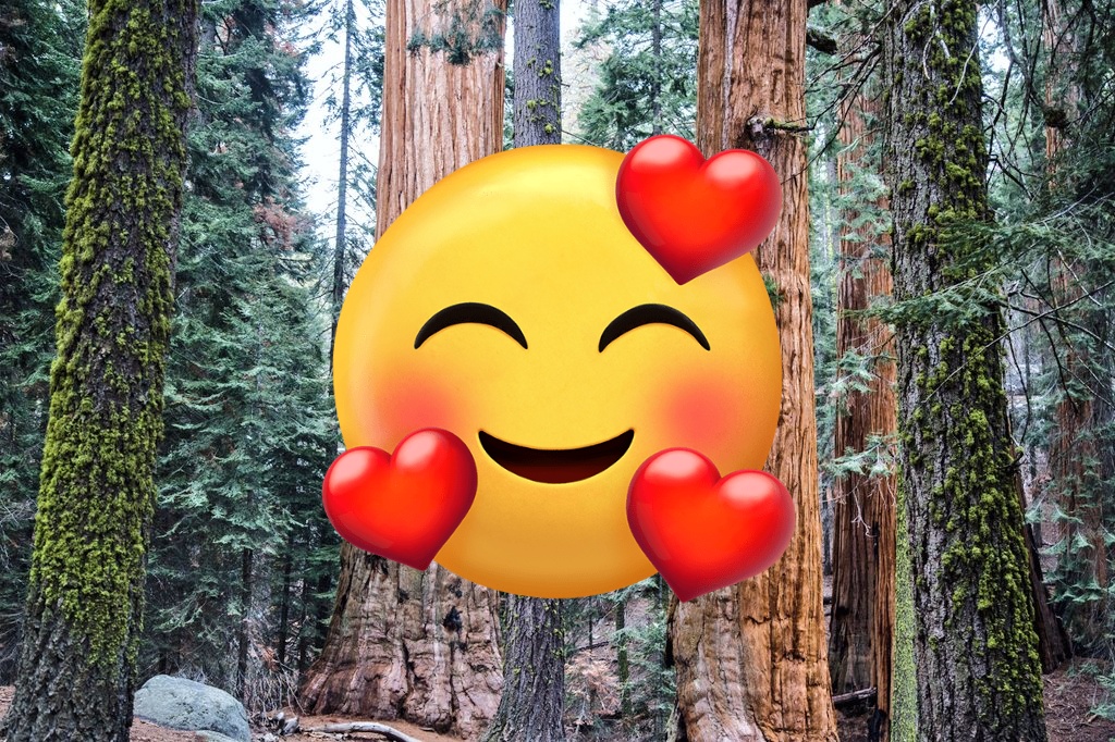 Visit US Parks tweet media