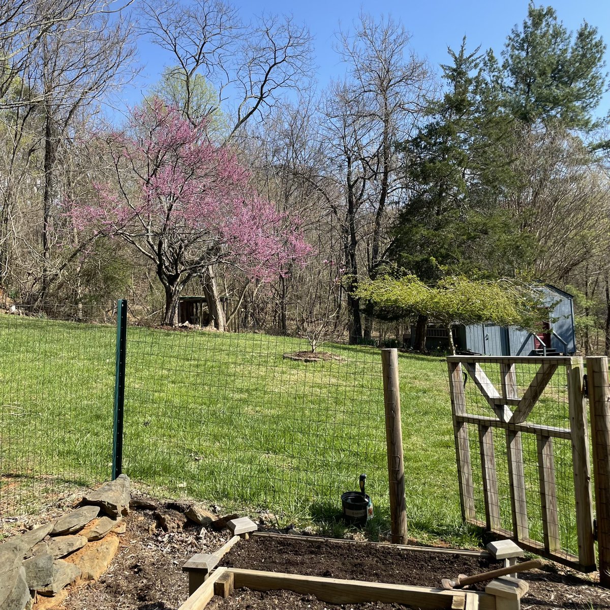 pammoran's tweet photo. Beautiful day in the hollow and the garden #springrise https://t.co/F9jKH2xJYW