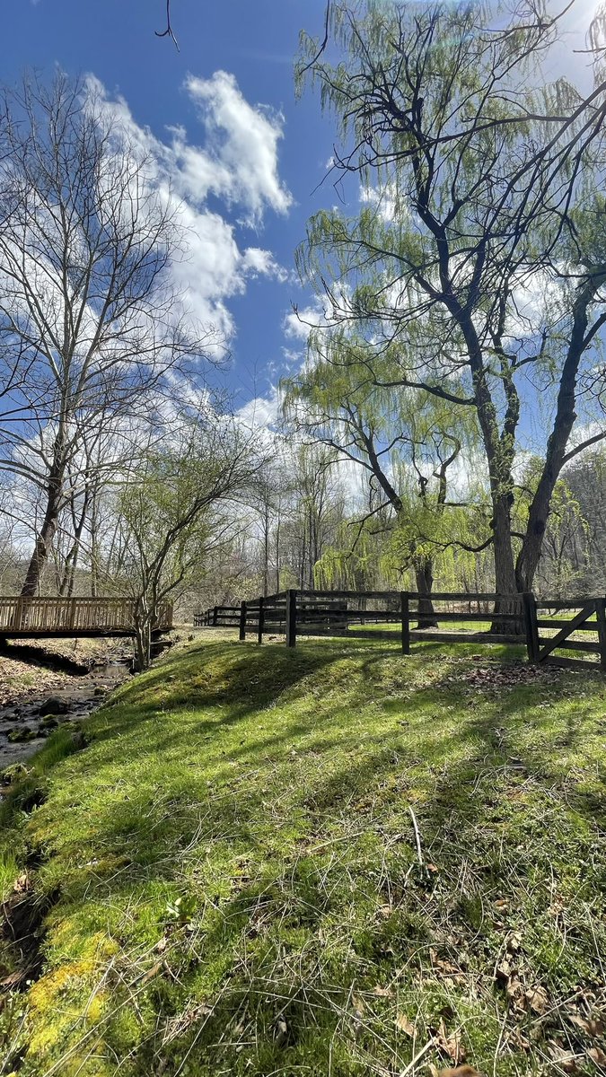 pammoran's tweet photo. Beautiful day in the hollow and the garden #springrise https://t.co/F9jKH2xJYW