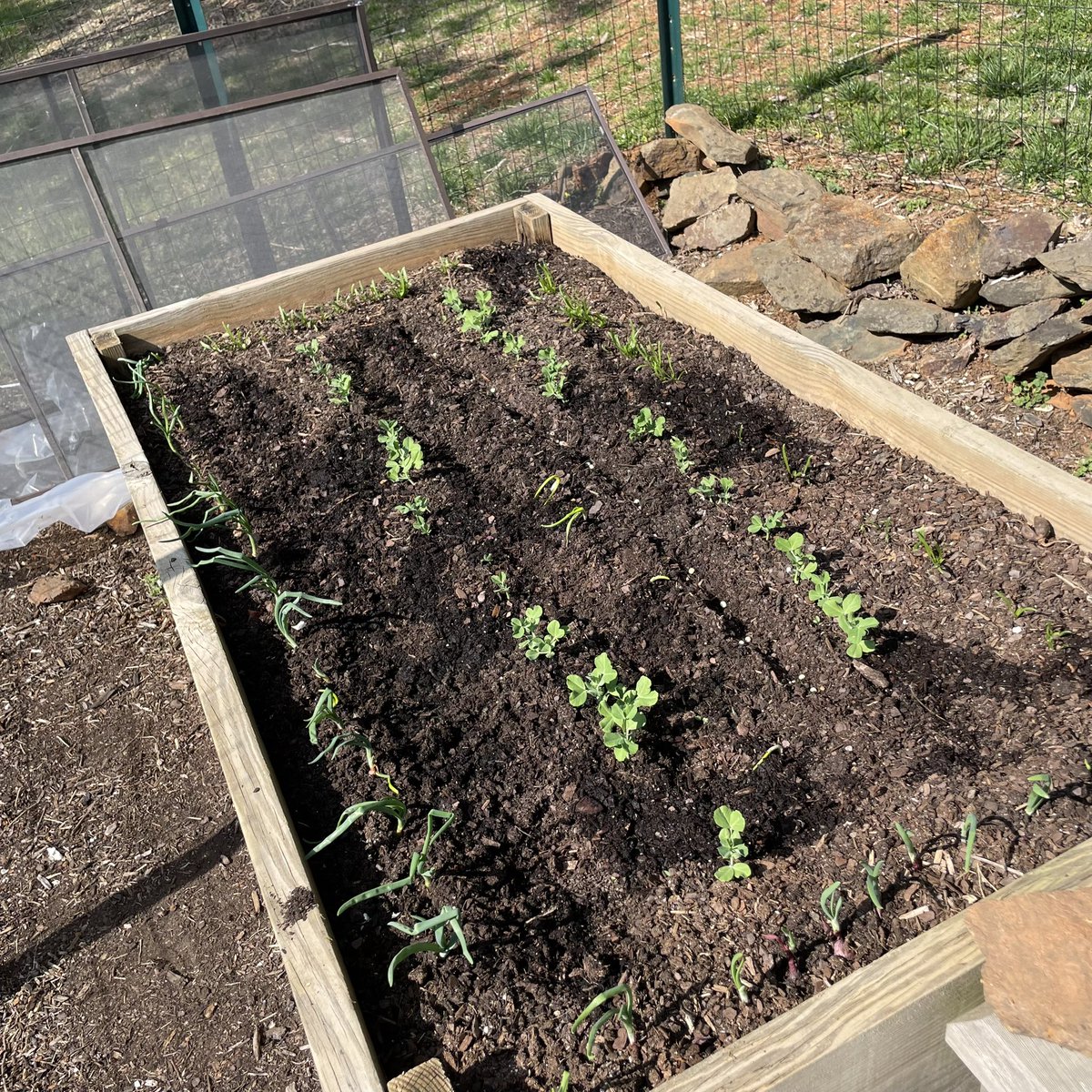 pammoran's tweet photo. Beautiful day in the hollow and the garden #springrise https://t.co/F9jKH2xJYW