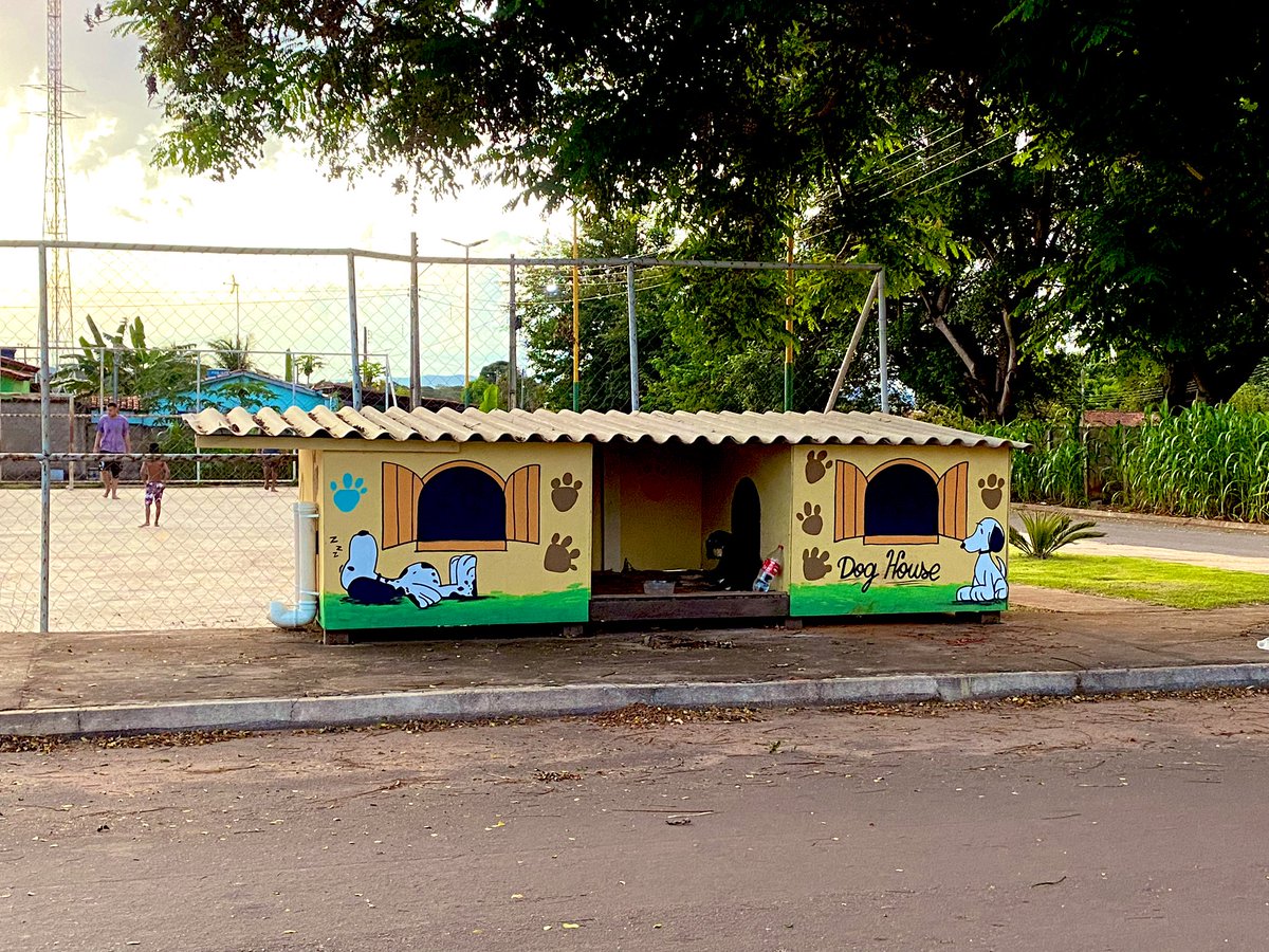 sankel_lima's tweet photo. Casa e ração para cães em situação de rua. 

Linda iniciativa, densifica uma das premissas do 3º ciclo do constitucionalismo ecológico: animais como sujeitos de direitos, não como objeto (do 2º ciclo, adotado pelo Brasil ). https://t.co/NxzKtZdDAq