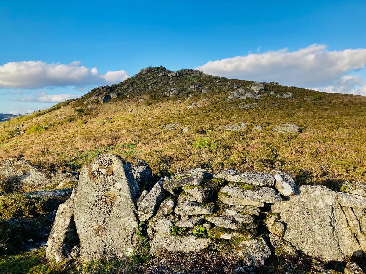 julioeiroa's tweet photo. Serra do Suído. 
Sur Dorsal Galega
‼️RED NATURA 2000 Xa‼️
.
.
#julioeiroa #natureandphoto #fotografia #biologia #guiademontaña #suido #dorsalgalega #montaña #pontevedra #ourense #galicia #rednatura2000 #ampliacionrednatura https://t.co/clgCSkDVdb