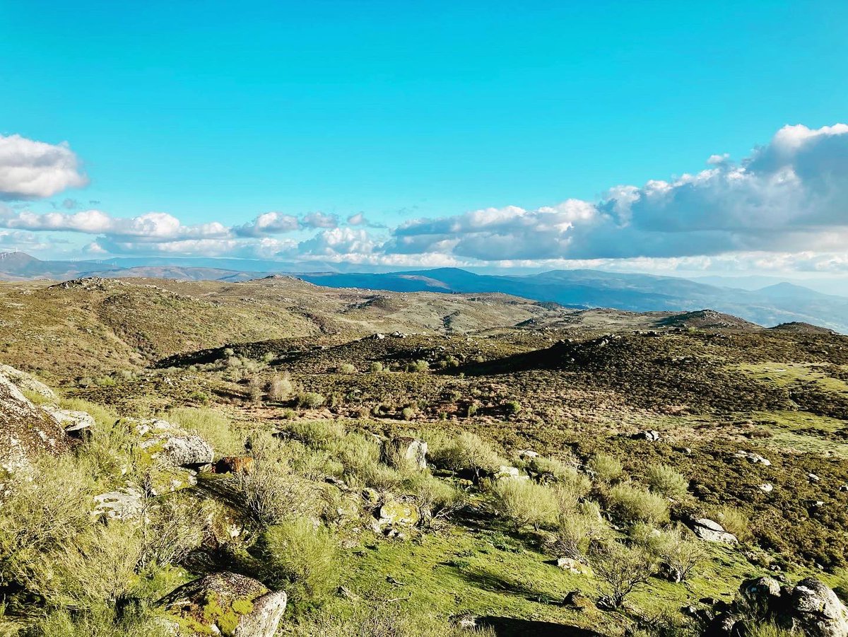 Serra do Suído. 
Sur Dorsal Galega
‼️RED NATURA 2000 Xa‼️
.
.
#julioeiroa #natureandphoto #fotografia #biologia #guiademontaña #suido #dorsalgalega #montaña #pontevedra #ourense #galicia #rednatura2000 #ampliacionrednatura