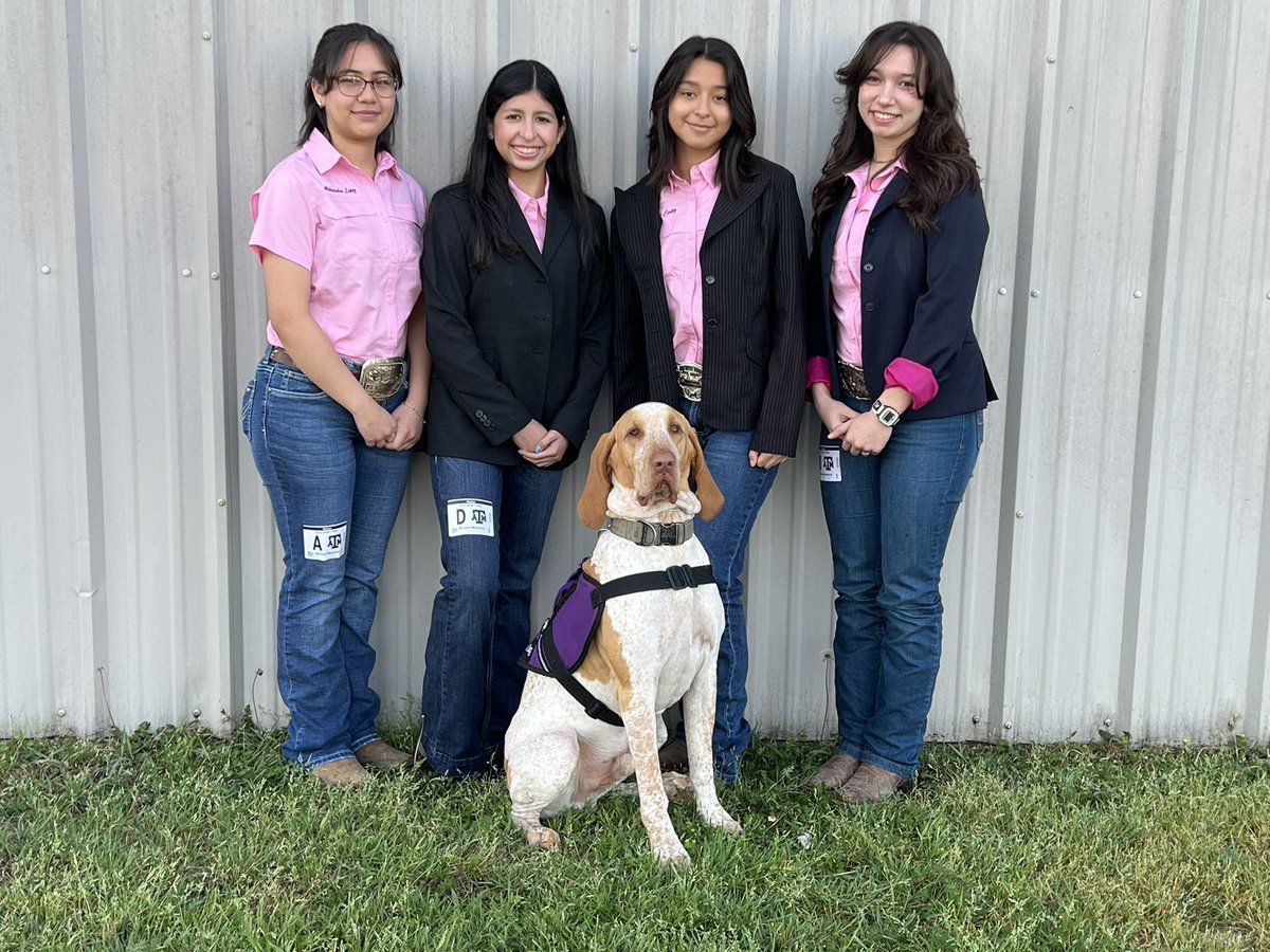 FFA_Memorial's tweet photo. Congratulations @FFA_Memorial  Horse Judging team for placing 1st in Area today!!!  State Bound!!  @McAllenISDCTE @Pride_Mustangs @McAllenISD https://t.co/odfCI0IfGq