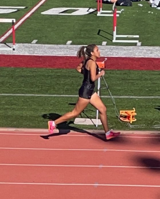 TrackWNHS's tweet photo. I always enjoy going to the Friends University Meet each year and seeing several former North High Tracksters compete!!! Got to catch up with a few of them, talk to some great coaches, and watch this great sport!!! @FriendsUXCTF  #WeAreNorth @JacquiAngel11 https://t.co/GeE4kabSr8