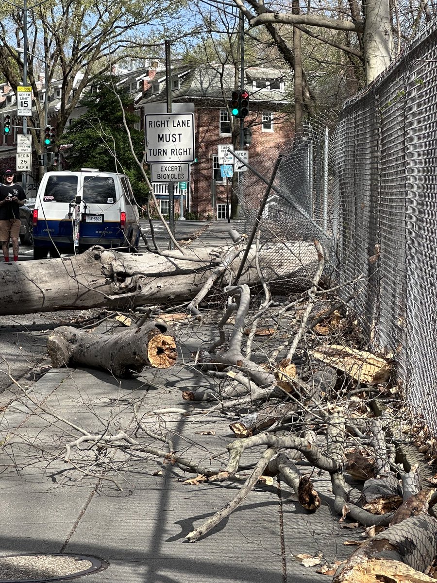 Laura Hermann tweet media