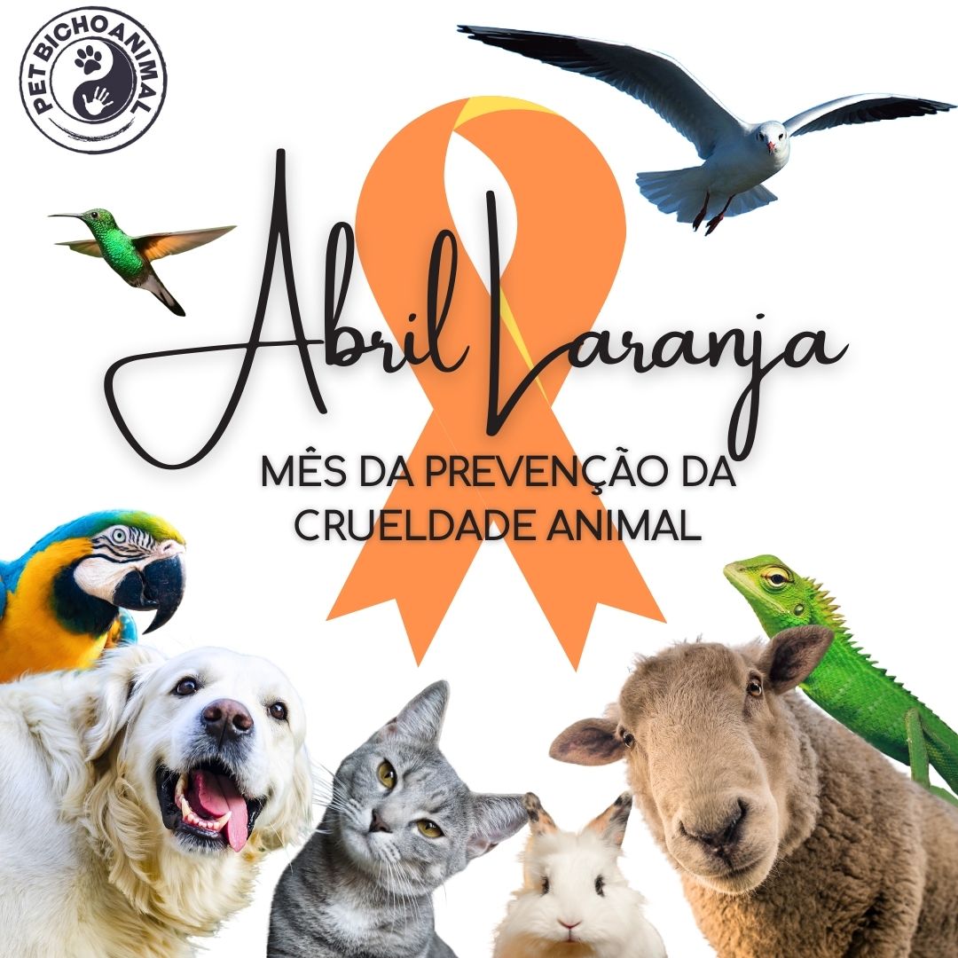 PetBichoAnimal's tweet photo. Maus-tratos aos animais é crime, por isso não deixe de denunciar! Se você viu algo que achou estranho ou teme pela vida ou pela saúde de um bichinho, não hesite em denunciar.

#abrillaranja #diganãoaosmaltratosaosanimais #diganãoacrueldadeanimal https://t.co/HenorHc4u2