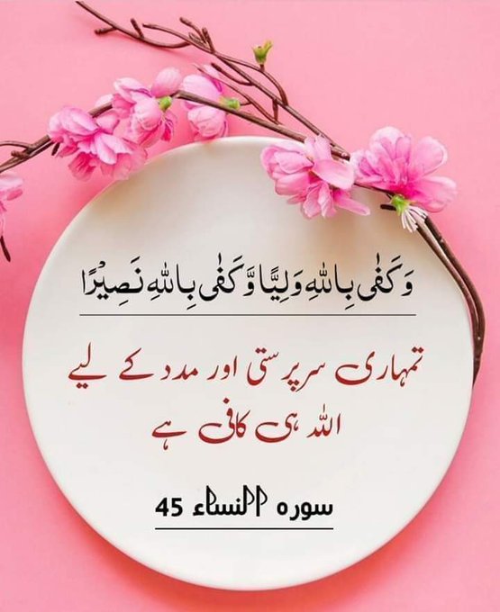 Amir Baig 🌹 tweet media