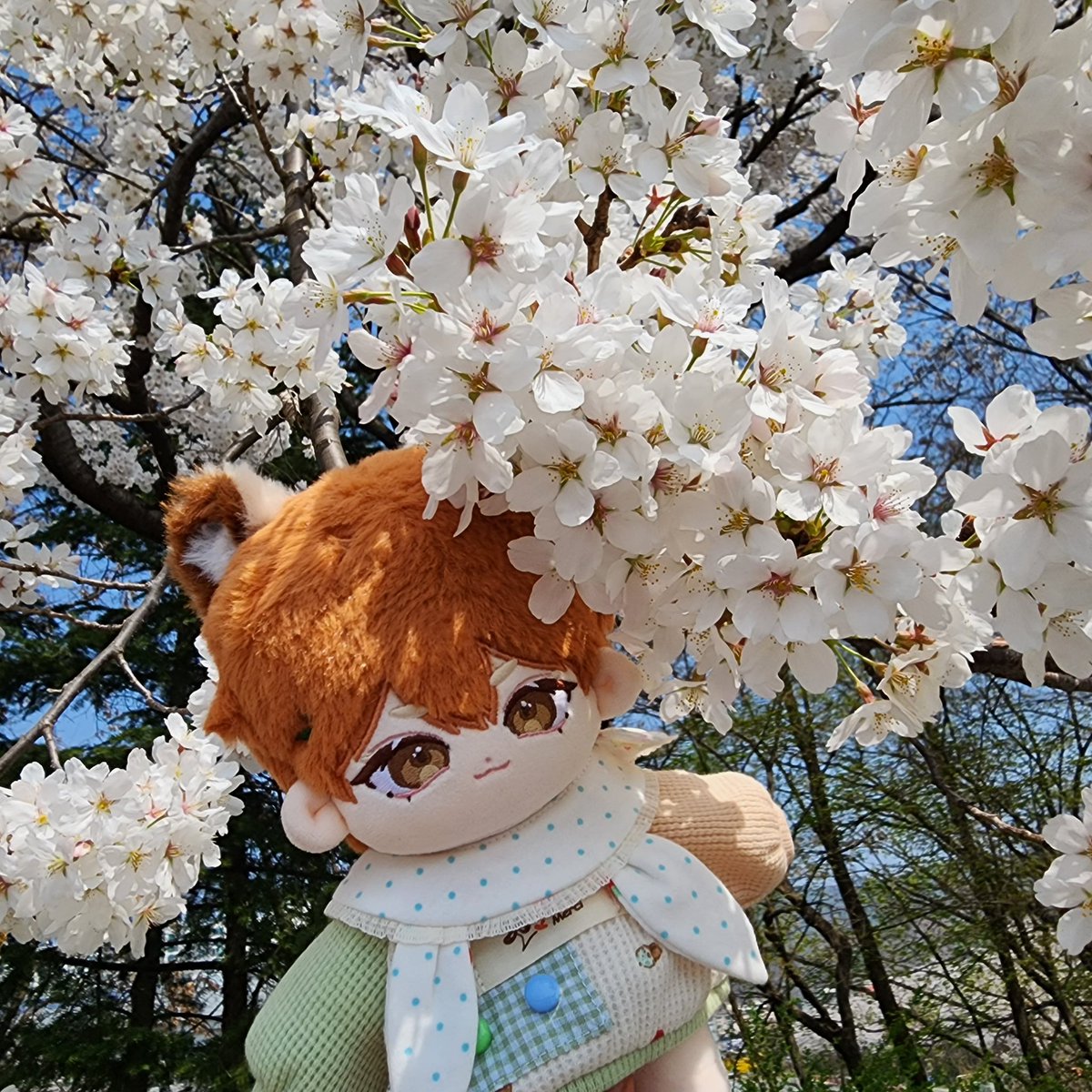바보네솜:랫시/프레이르/피델 tweet media