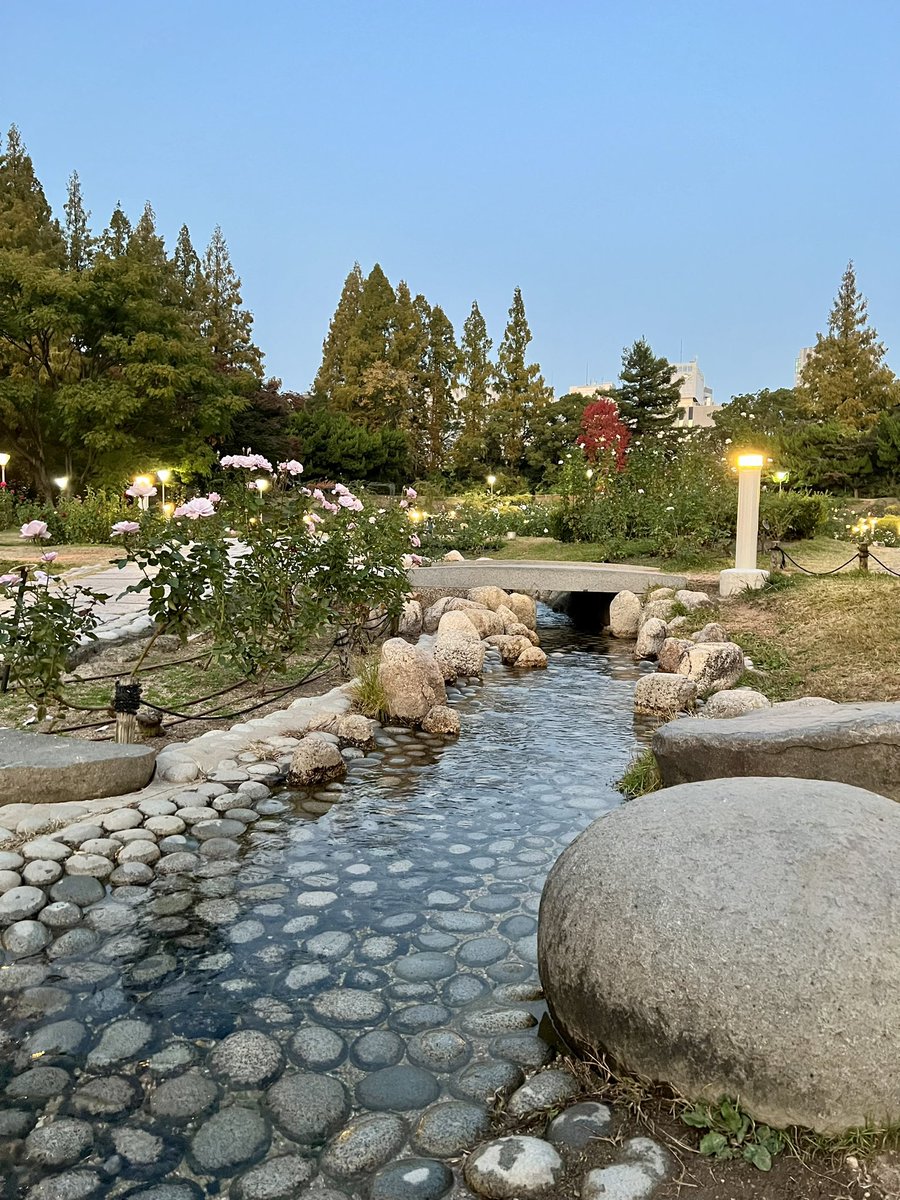 _almostlost's tweet image. Everyone on the TL is in Osaka.. take me back!