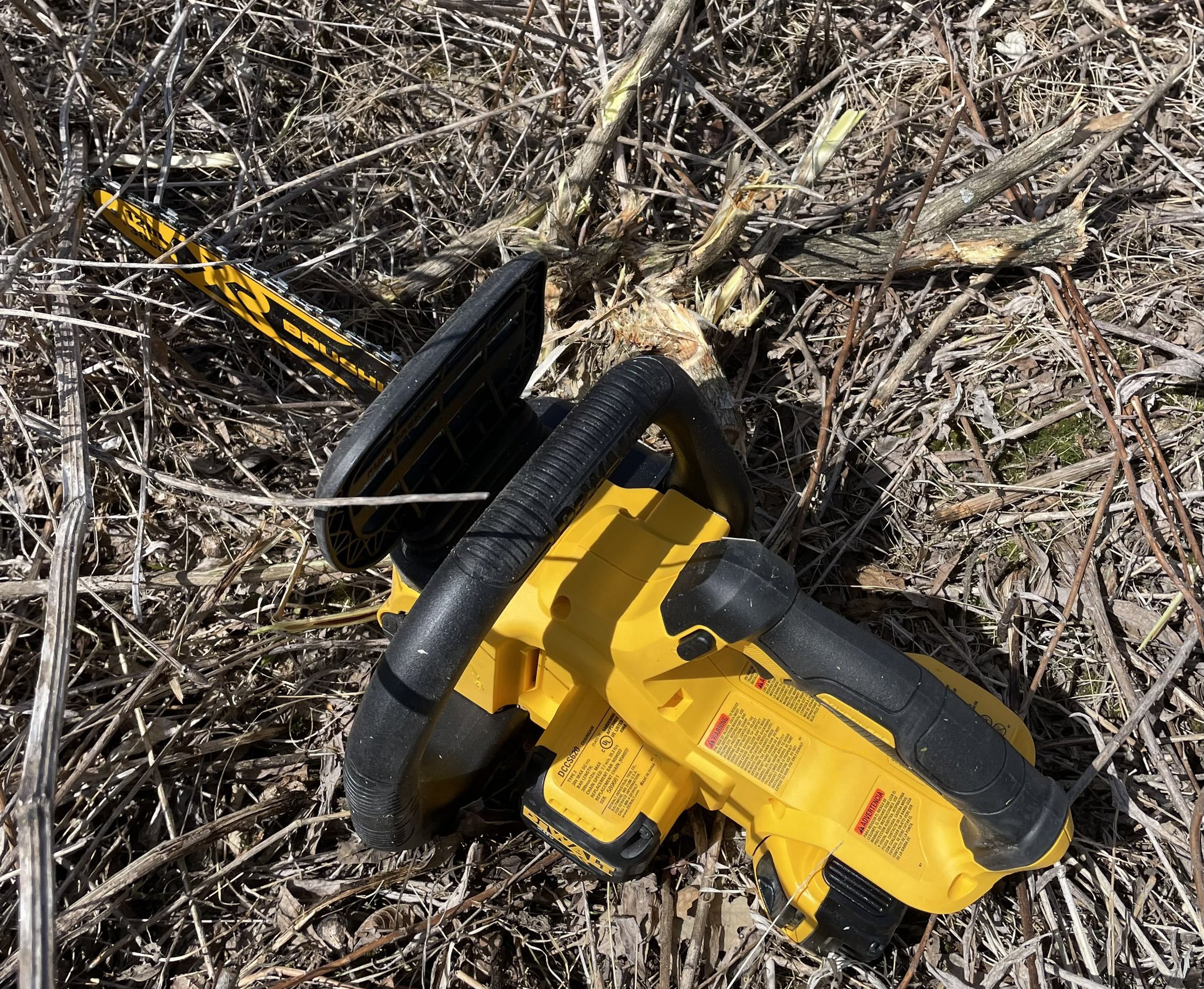 Rep. Rick Hansen on Twitter "An 🌞afternoon 🌾spent cutting invasive