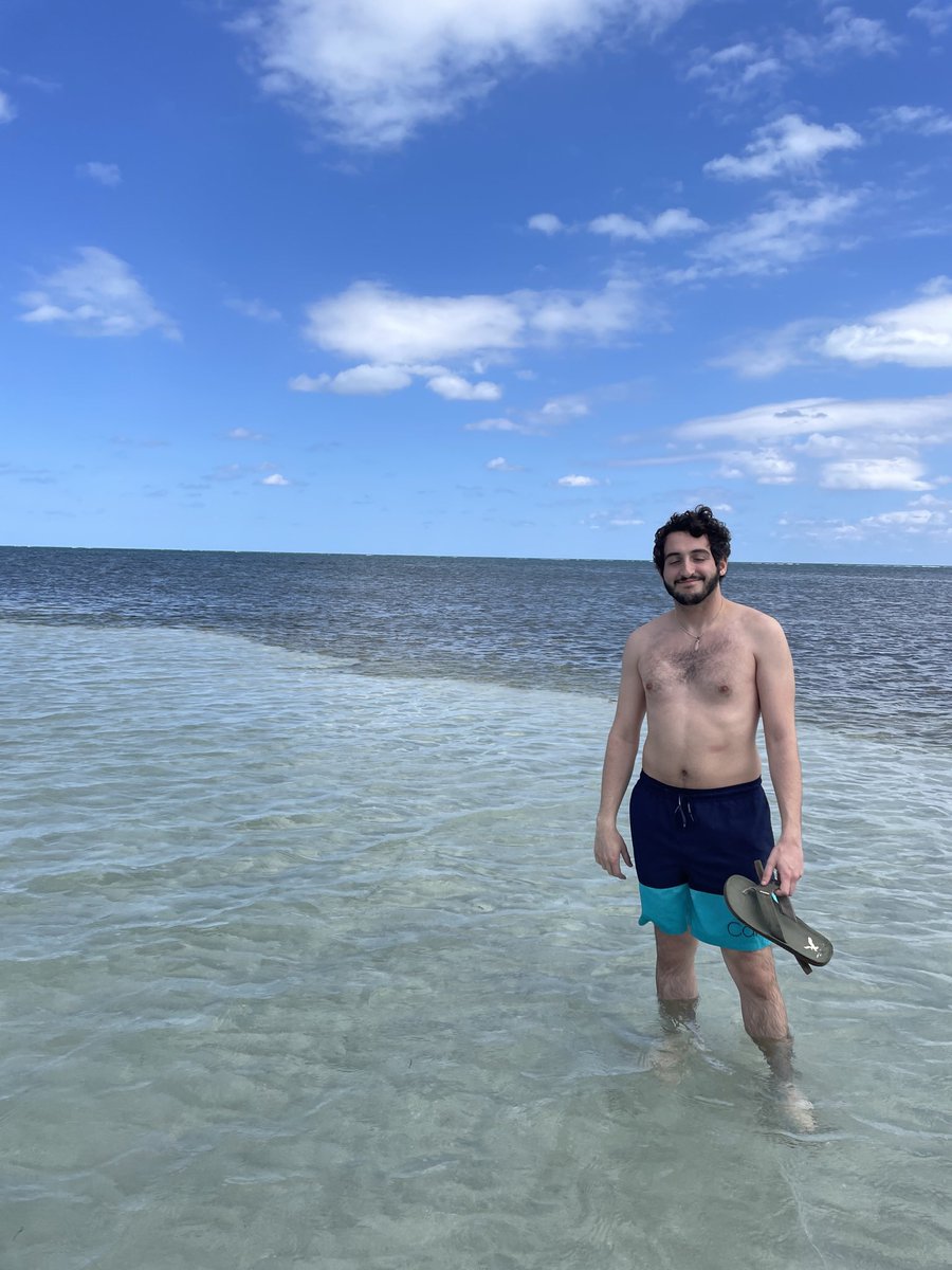 ethanhehehehe's tweet image. 