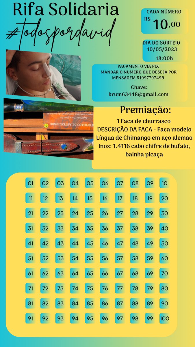 brumduda11's tweet photo. RIFA SOLIDÁRIA 🏥 #todospordavid https://t.co/4x0mXyEuqJ
