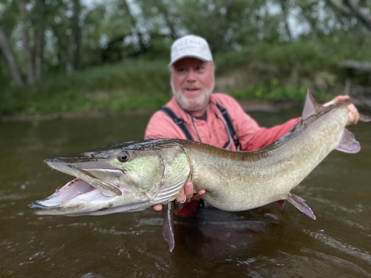 WinnieBrinks's tweet photo. Many fishermen and women in my family can attest that spending time in the great outdoors is good for the body and the mind! 2/4
#FishMichigan https://t.co/b5m6zmzHES