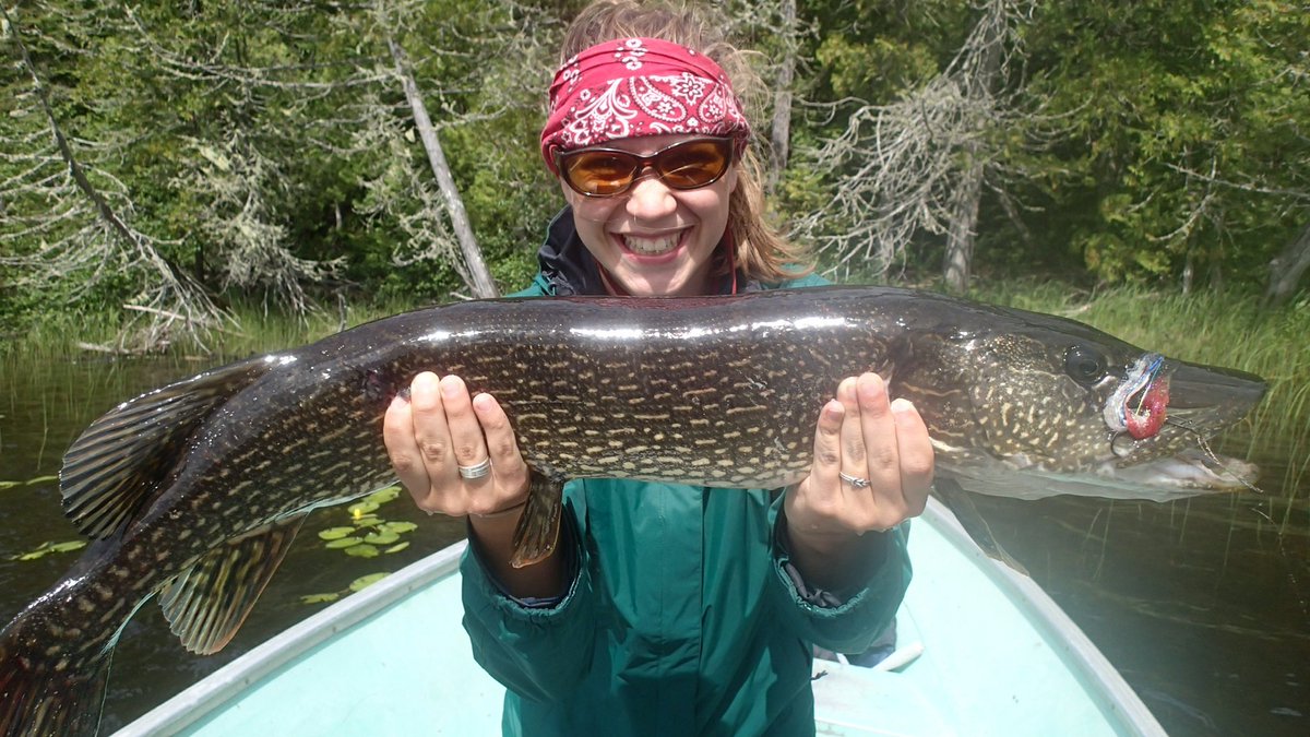 WinnieBrinks's tweet photo. Many fishermen and women in my family can attest that spending time in the great outdoors is good for the body and the mind! 2/4
#FishMichigan https://t.co/b5m6zmzHES