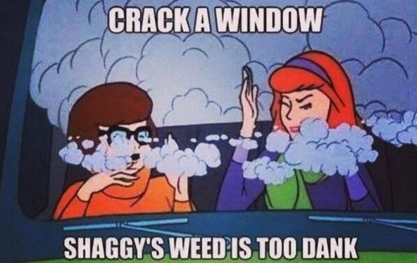 ehschooba's tweet photo. The real Velma and Daphne https://t.co/PUbMh8d6cQ