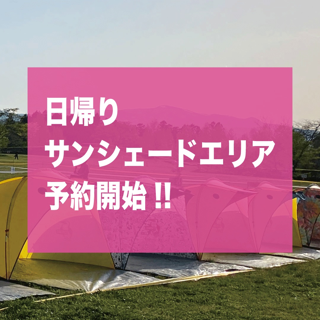 2日券×1 キャンプサイト券×1 アラバキロックフェス 嫁ぎ 