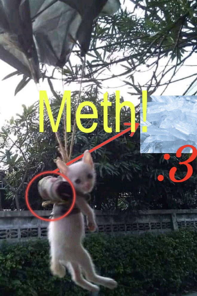 humweed's tweet image. kity fowned peechute .. smuglling x3 mwethamphetamewns into prison yarrd..