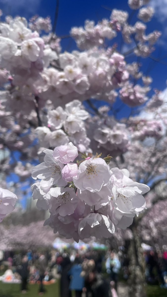 やっと！！春！！嬉しい〜〜