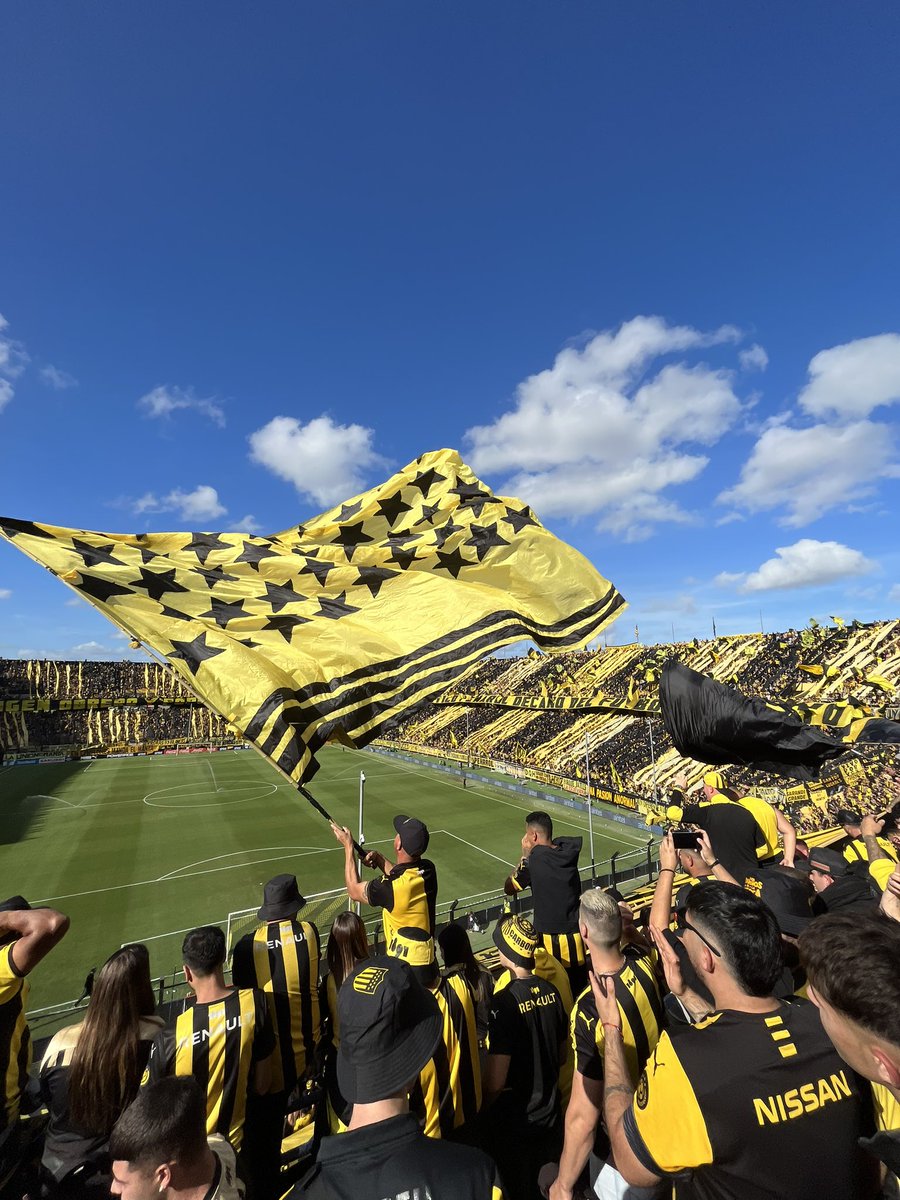 sofibaguilar's tweet photo. DEL LADO CORRECTO SIEMPRE, ESTO ES PEÑAROL 🖤💛 https://t.co/p4SOgJH5o6