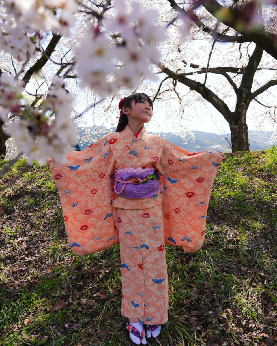 さくら満開！きもちいい(≧▽≦)💕
#着物女子　#JS3　#followme 
#sakura #kimono #桜　#桜満開  #japanesegirl #パニパニおうえんだん #フォロー大歓迎 #小学生 #JS #夢は俳優　#夢はモデル #子役 #テアトルアカデミー　#桜の名所　#sonyα #Lightroom #ママ撮