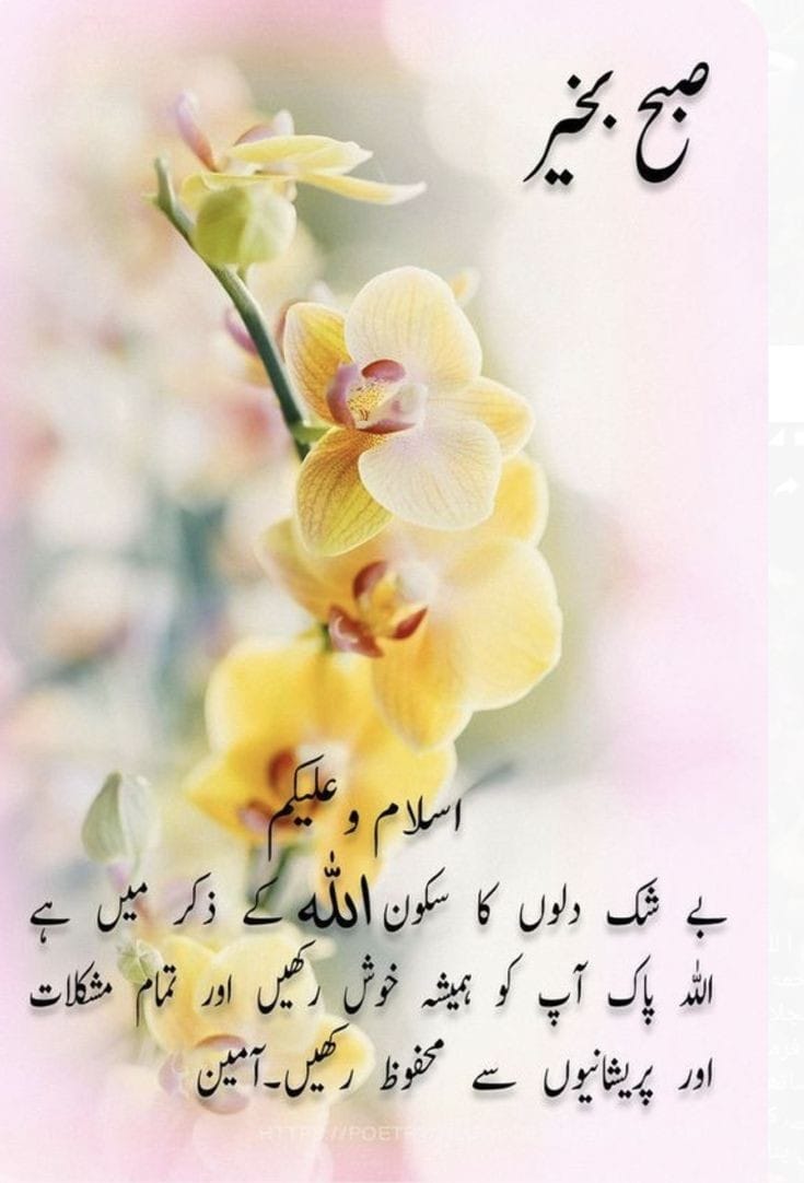 Shaheen🇵🇰 (@ruhi_shaheen) on Twitter photo 